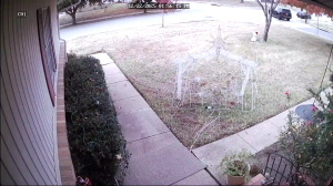 Caméra IP - United States of America