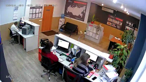 Caméra IP - Russian Federation