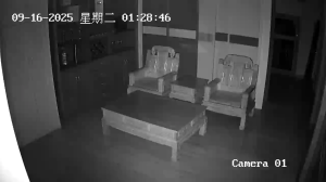 Caméra IP - China