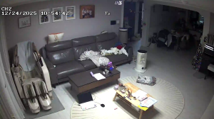 Caméra IP - South Korea