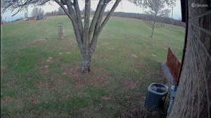 Caméra IP - United States of America