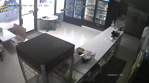 Caméra IP - États-Unis d'Amérique