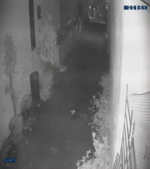 Caméra IP - Vietnam