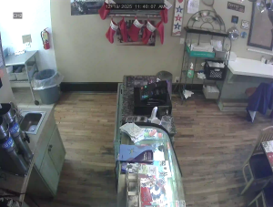 Caméra IP - United States of America