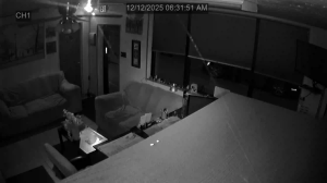 Caméra IP - États-Unis d'Amérique