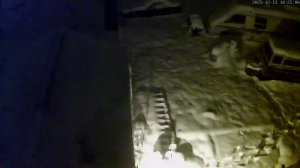 Caméra IP - États-Unis d'Amérique