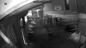 Caméra IP - Estados Unidos