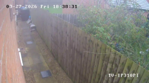 Caméra IP - Royaume-Uni