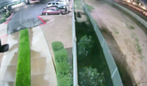 Caméra IP - United States of America