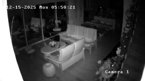 Caméra IP - Vereinigte Staaten von Amerika