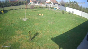 Caméra IP - Serbien