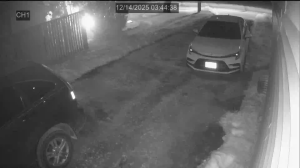 Caméra IP - United States of America