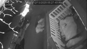 Caméra IP - Vereinigte Staaten von Amerika