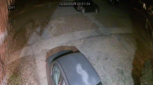 Caméra IP - États-Unis d'Amérique