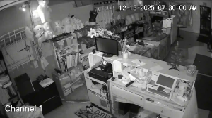 Caméra IP - Estados Unidos