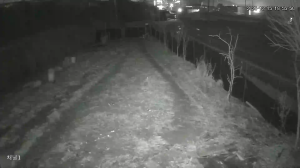 Caméra IP - Südkorea