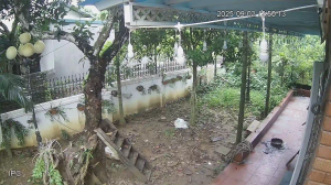 Caméra IP - Vietnam