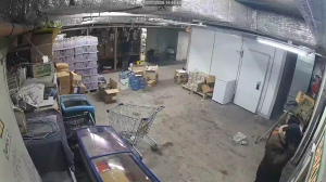 Caméra IP - Russian Federation