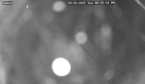 Caméra IP - Royaume-Uni