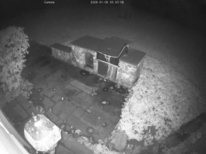 Caméra IP - United States of America