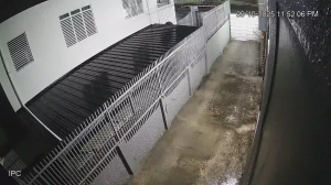 Caméra IP - Puerto Rico