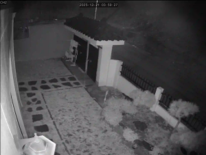 Caméra IP - Corea del Sud