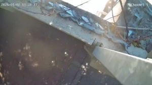 Caméra IP - South Africa