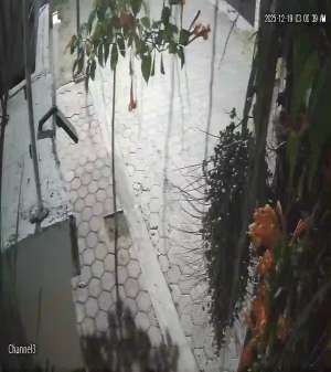 Caméra IP - México