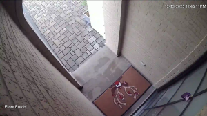 Caméra IP - États-Unis d'Amérique