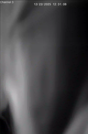 Caméra IP - Canadá