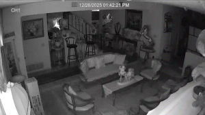 Caméra IP - Vereinigte Staaten von Amerika