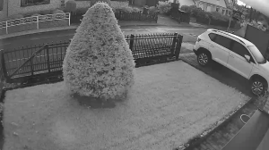 Caméra IP - Allemagne