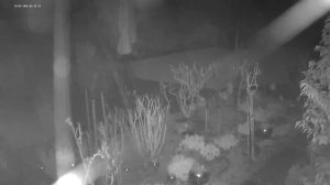 Caméra IP - Germany