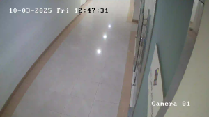 Caméra IP - Saudi-Arabien