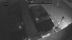 Caméra IP - United States of America