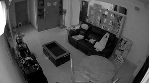 Caméra IP - Singapour