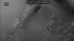 Caméra IP - South Korea