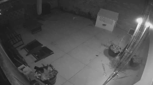 Caméra IP - Netherlands