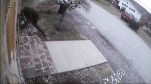 Caméra IP - United States of America