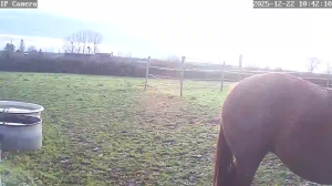 Caméra IP - Francia