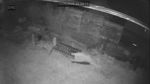 Caméra IP - United States of America