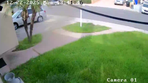 Caméra IP - Vereinigte Staaten von Amerika