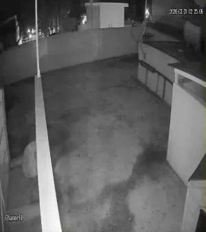 Caméra IP - Mexique