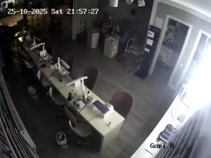 Caméra IP - Georgia