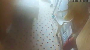 Caméra IP - Martinique