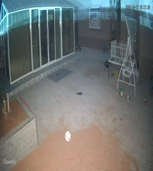 Caméra IP - Émirats Arabes Unis