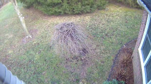 Caméra IP - United States of America