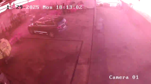 Caméra IP - Portugal