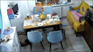 Caméra IP - Russian Federation