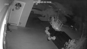 Caméra IP - Neuseeland